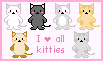iloveallkitties